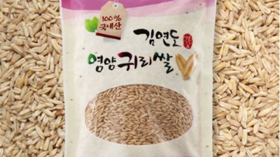 🌾내 몸이 좋아하는 웰빙잡곡, 솔직 후기와 꿀팁 대방출!