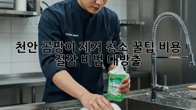 천안 곰팡이 제거 청소 꿀팁🍯 비용 절감 비법 대방출!