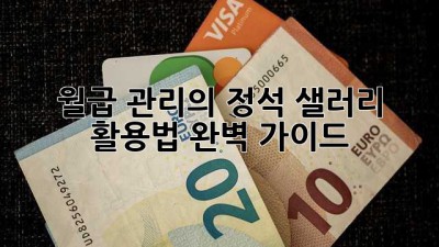 월급 관리의 정석: 샐러리 활용법 완벽 가이드