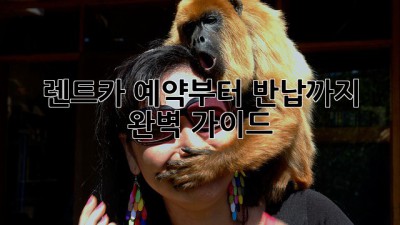 렌트카 예약부터 반납까지 완벽 가이드🚗